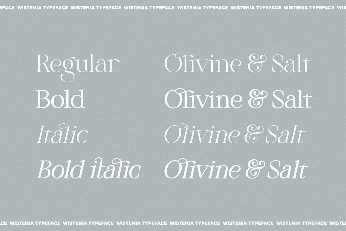 Wistenia Typeface, a Serif Font by Ivan Rosenberg (Photo 17 of 18)