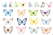 Watercolor Butterflies and Flowers, a Decorative Illustration by Elena Medvedeva (Thumbnail 2 of 12)