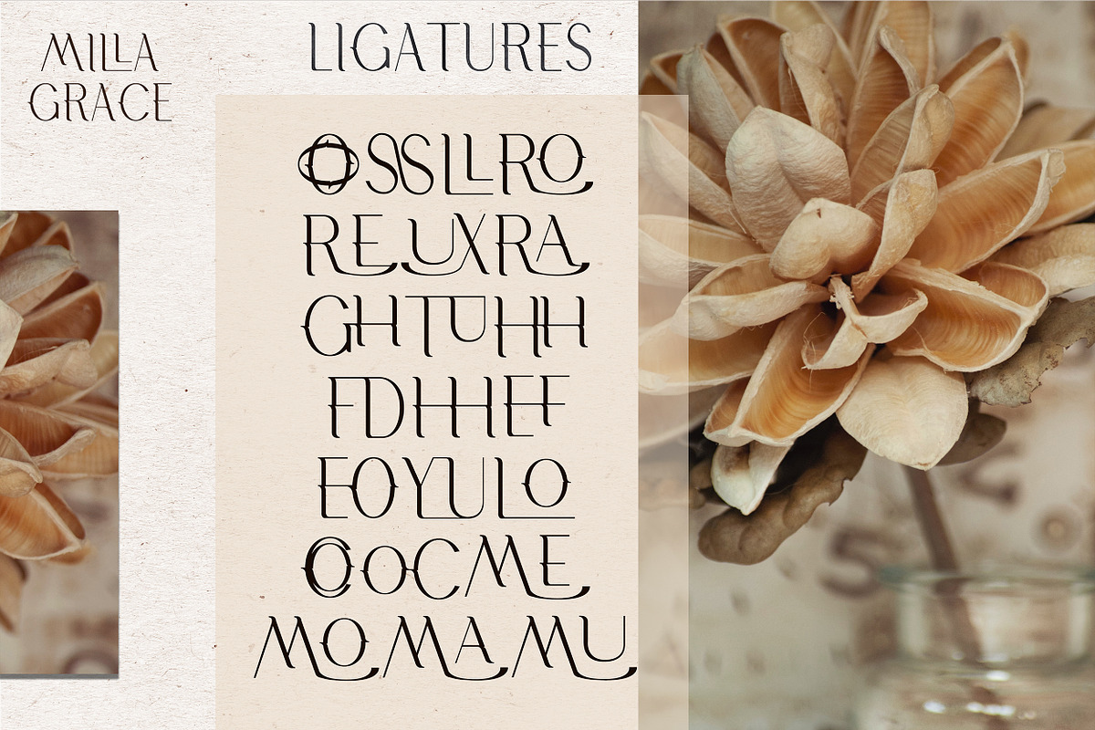 Milla Grace. Modern Classic Font, a Serif Font by LABFcreations (Photo 8 of 12)