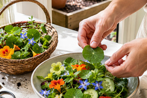 Foraging garden home with vibrant ed, a Photo by Dvoevnore photos