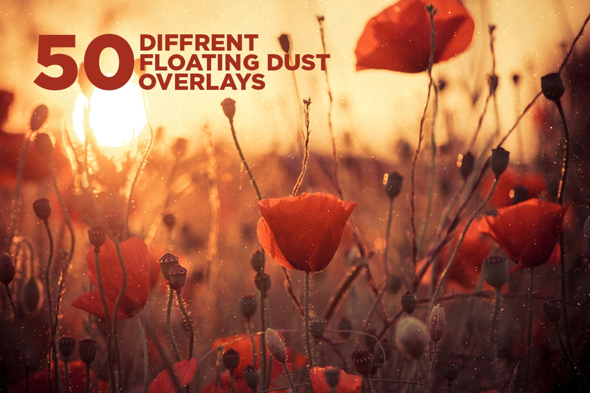 Floating Dust Overlay Subtle Effect preview 2