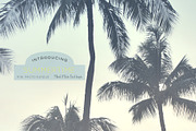Summertime 4 Hi-Res Photo Bundle, an Abstract Photo by CC CREATIVE CO (Thumbnail 6 of 6)