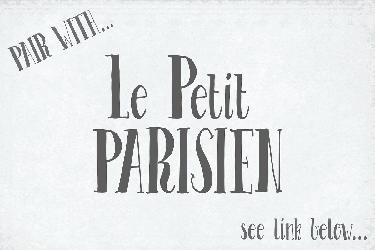 Le Petit Parisien Light preview 5