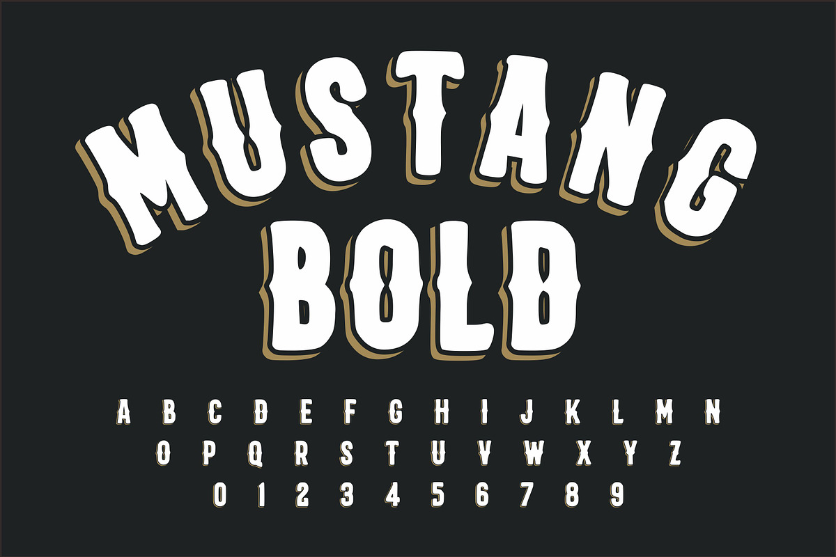 Mustang Bold Vintage Western Font, a Slab Serif Font by Limited.studio (Photo 1 of 7)
