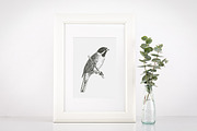 Birds Engravings Set, an Object Graphic by Graphic Goods (Thumbnail 5 of 6)