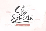 Lindsay Brown Script (+EXTRAS), a Script Font by Sarid Ezra (Thumbnail 3 of 9)