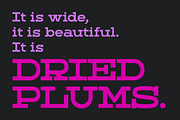 Dried Plums - Display Font, a Serif Font by Suolahti Type (Thumbnail 2 of 11)