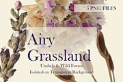 Airy Grassland — Umbels & Wild Forms, an Object Graphic by Aga Silva (Thumbnail 5 of 14)