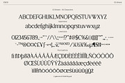 CS Briseis – Luxury Serif Font, a Serif Font by Craft Supply Co. (Thumbnail 8 of 8)