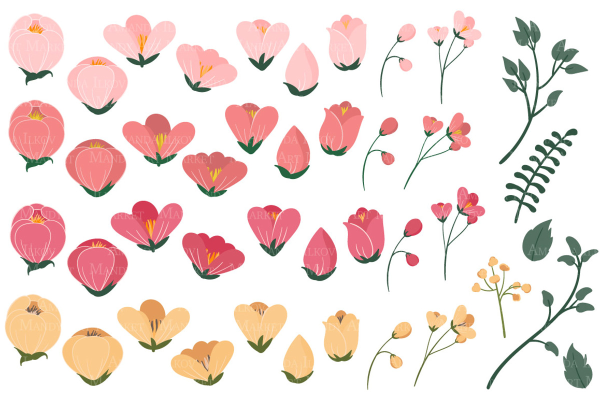 Rose Garden Floral Vectors, an Illustration by Amanda Ilkov (Photo 3 of 3)