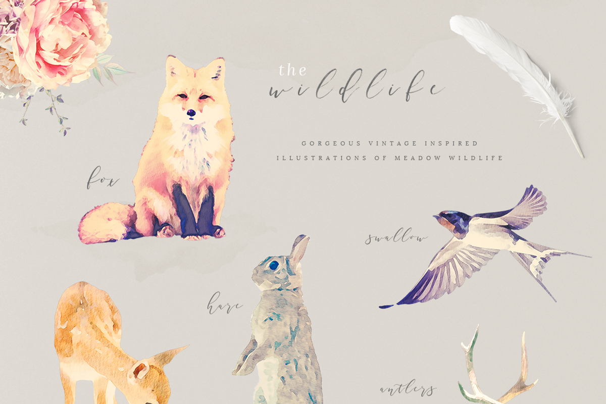 Delicate Vintage Florals, a Texture Illustration by Studio Sirona (Photo 5 of 9)