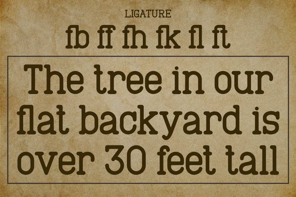 Authoring - Typewriter Typeface, a Handwritten Font by MaikoHatta (Photo 6 of 7)