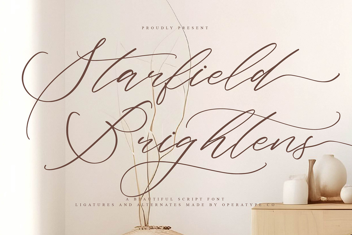 Starfield Brightens, a Script Font by operatype.co (Photo 1 of 15)