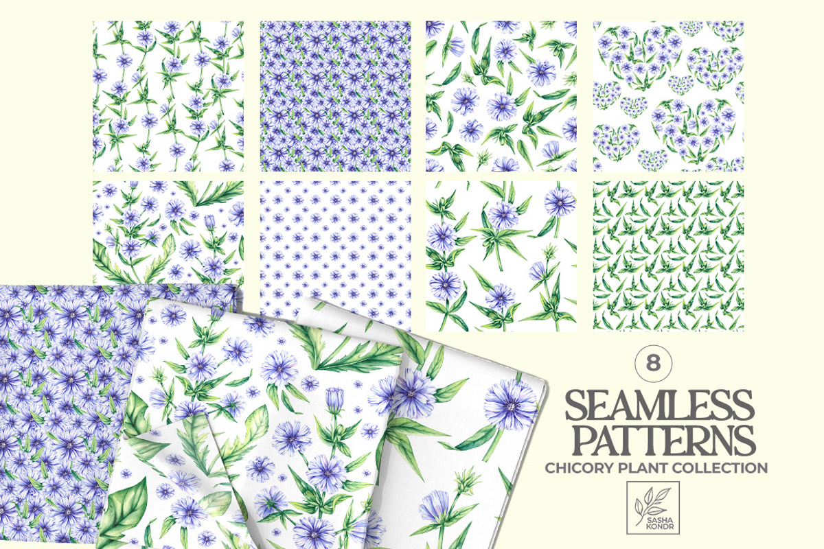 Chicory Plant Watercolor Collection, an Illustration by SashaKondr (Photo 10 of 12)