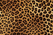 Safari Animals Skin Print Texture, a Graphic by UniqueMe (Thumbnail 14 of 21)