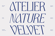 CS Agnella – Elegant Serif Font, a Serif Font by Craft Supply Co. (Thumbnail 3 of 8)