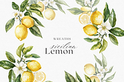 Sicilian Lemon - Watercolor clipart, a Decorative Illustration by ThaismotaCreativeCo (Thumbnail 5 of 9)