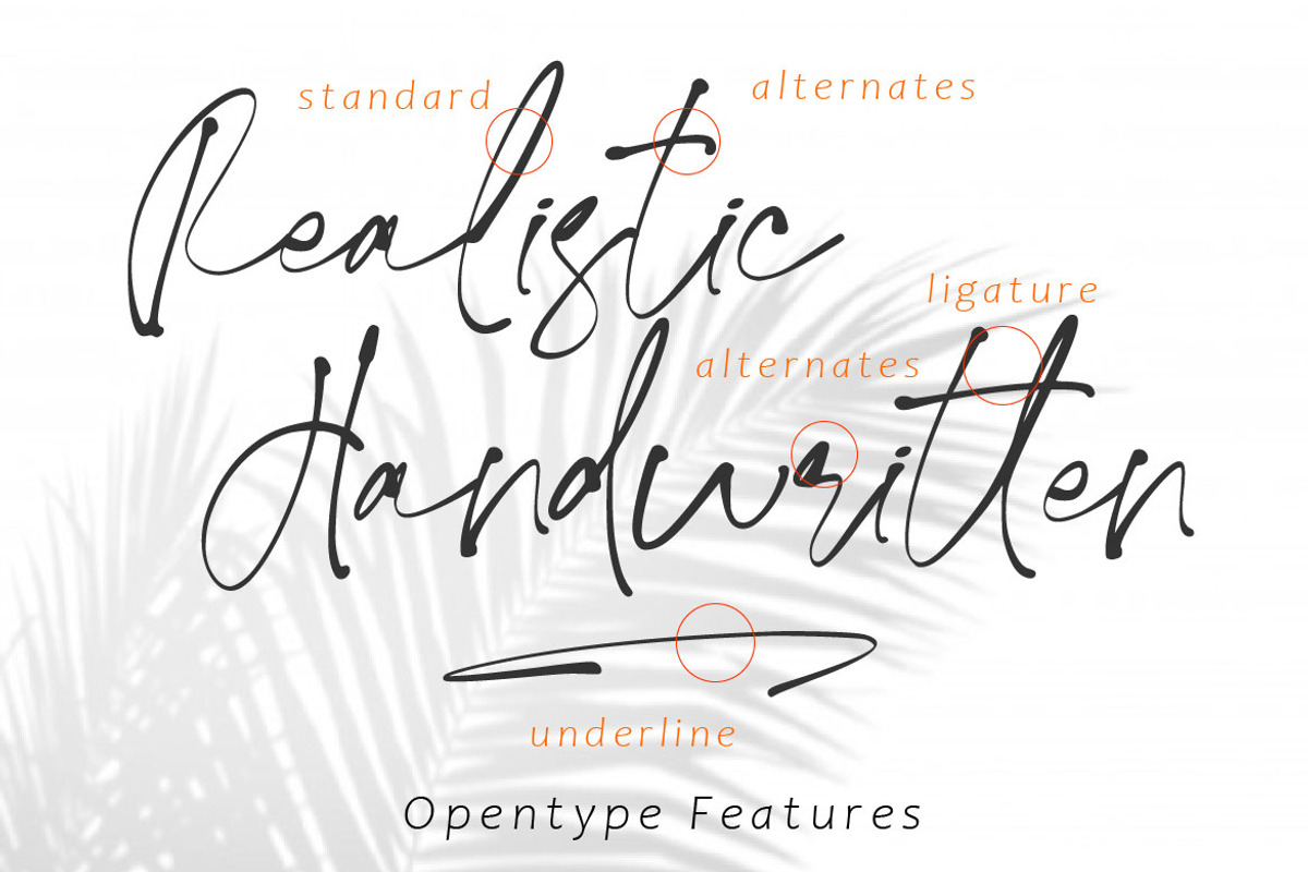 Ivory Coast, a Script Font by AMINMARIO (Photo 7 of 10)