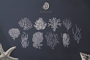 Silver Breeze Collection, a Decorative Illustration by Michael Rayback Design (Thumbnail 4 of 10)