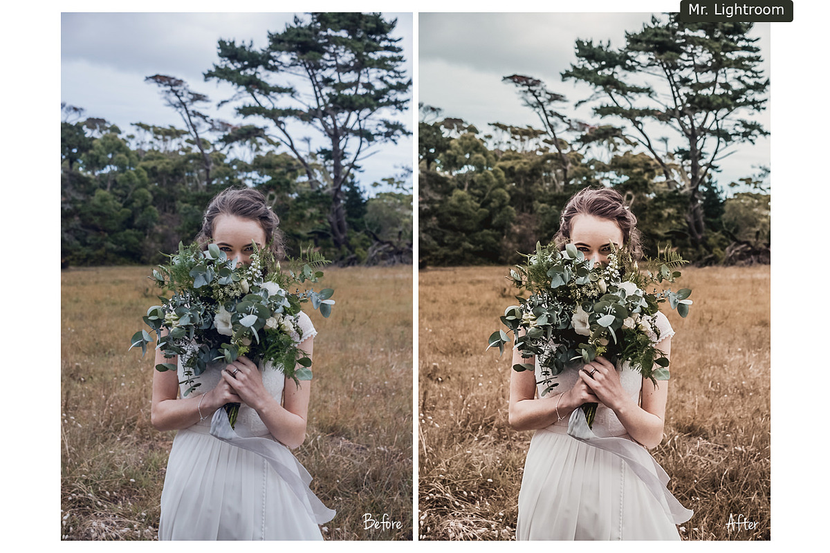 Earth Tones Lightroom Presets preview 4