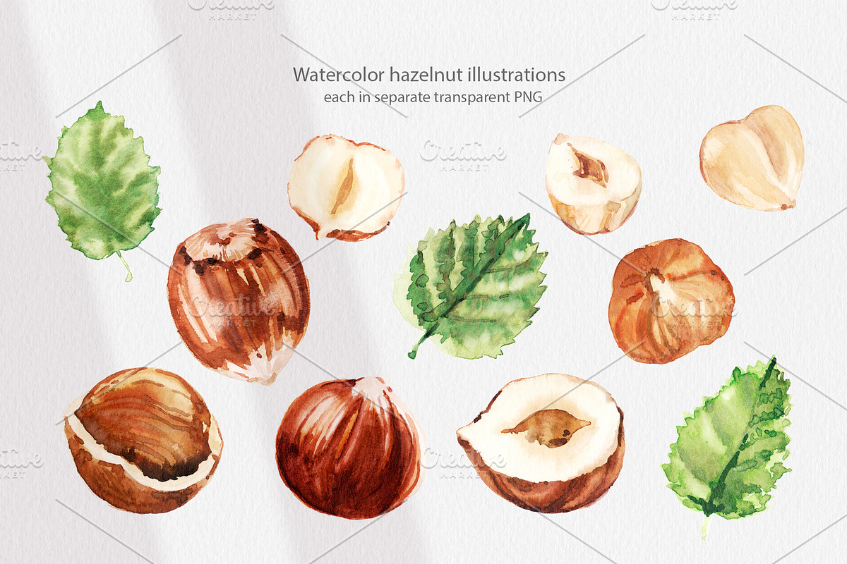 Cosmetic Ingredients Watercolor set, a Healthcare Illustration by Volha Studio (Photo 17 of 19)