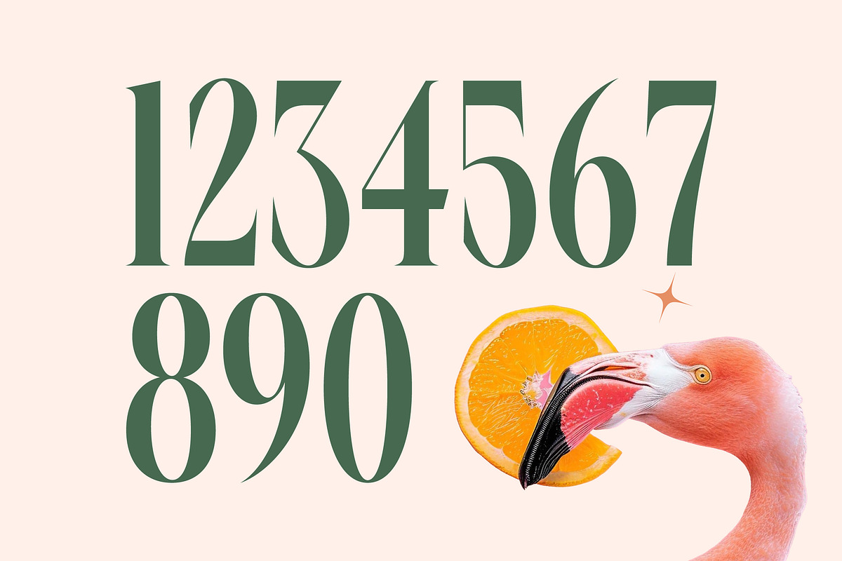 Repslag Brocker Luxury Serif Font, a Serif Font by timelesstype.co (Photo 16 of 20)