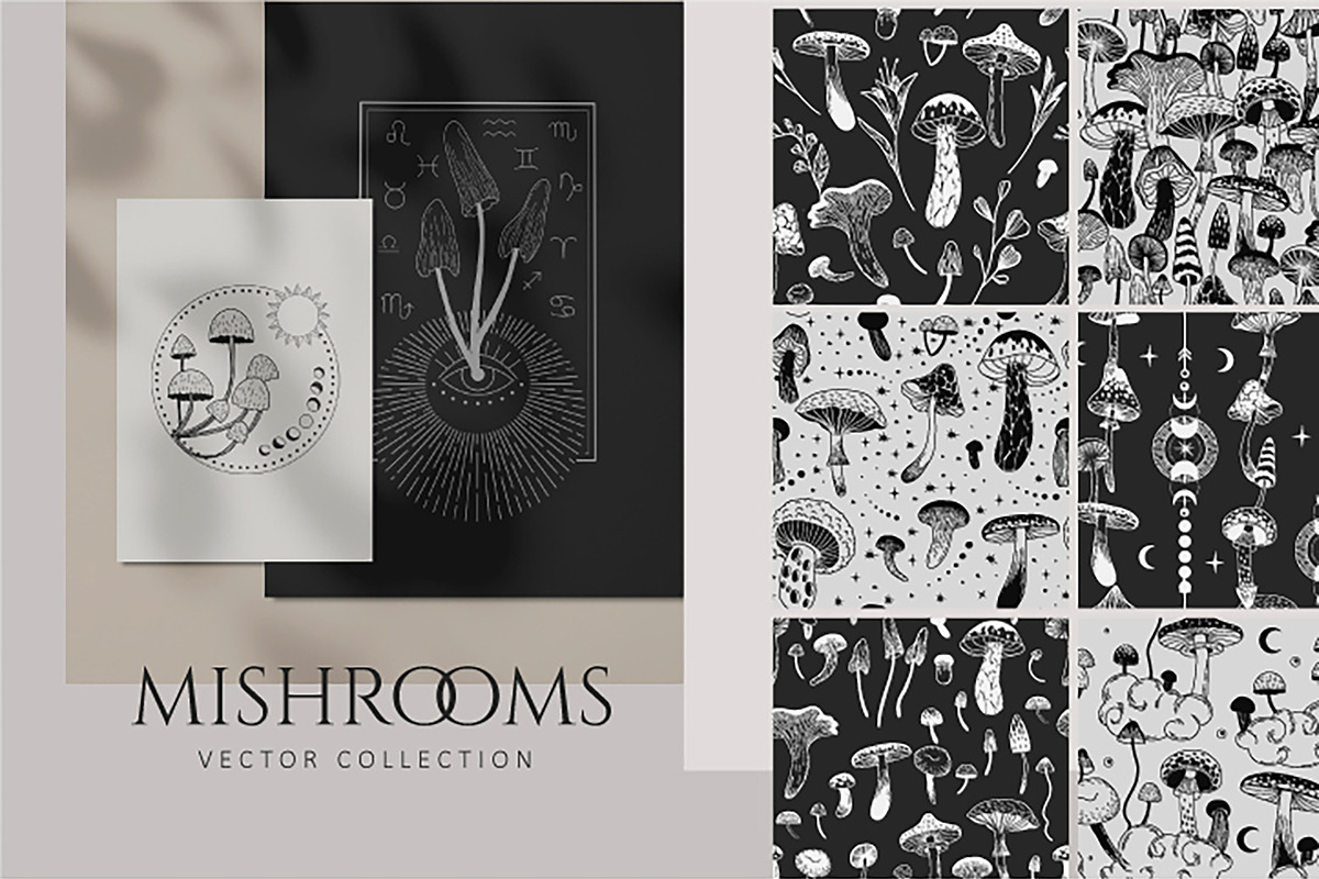 Mushrooms. collection, a Decorative Illustration by Merfin (Photo 1 of 6)