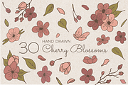 Hand Sketched Cherry Blossoms, a Decorative Illustration by By Kerri Ann (Thumbnail 1 of 3)