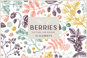 Berry Sketches. Berries Design Set