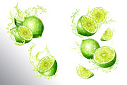Lime citrus. Watercolor collection, a Food Illustration by Daria Ustiugova (Thumbnail 9 of 21)