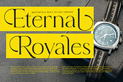 Qignals Modern Serif Font, a Serif Font by timelesstype.co (Thumbnail 16 of 20)