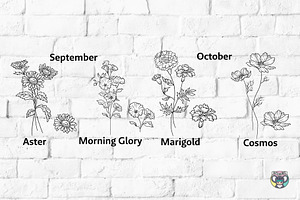 Birth Month Flowers Svg Bundle