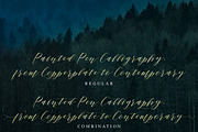 Sheraton Script, a Script Font by Areatype (Thumbnail 6 of 7)
