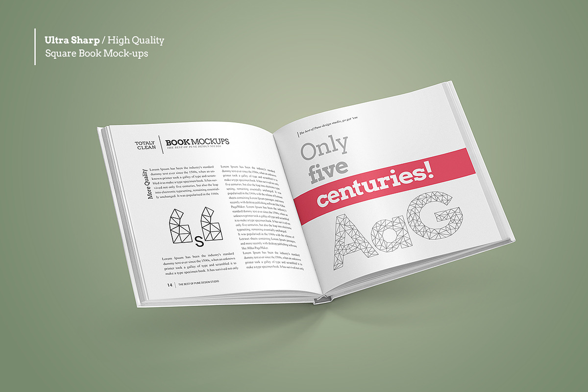 Square Book Mock-Up Set, a Books & Magazine Mockup by PuneDesign (Photo 2 of 11)