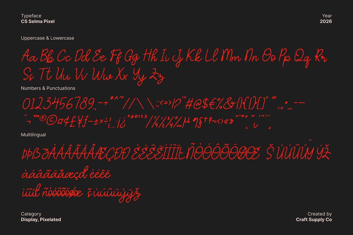 CS Selma Pixel, a Script Font by Craft Supply Co. (Photo 8 of 8)