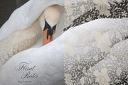 Vintage Floral Frames & Overlays, an Object Graphic by alonahaidash (Thumbnail 7 of 19)