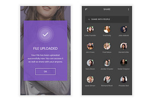 File Sharing Platform UI Kit XD