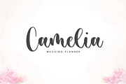 Warmesty - Lovely Font, a Script Font by Sronstudio (Thumbnail 8 of 10)
