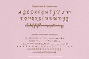 Delphian Wayfinder Font, a Handwritten Font by Letterhanna Studio (Thumbnail 3 of 12)