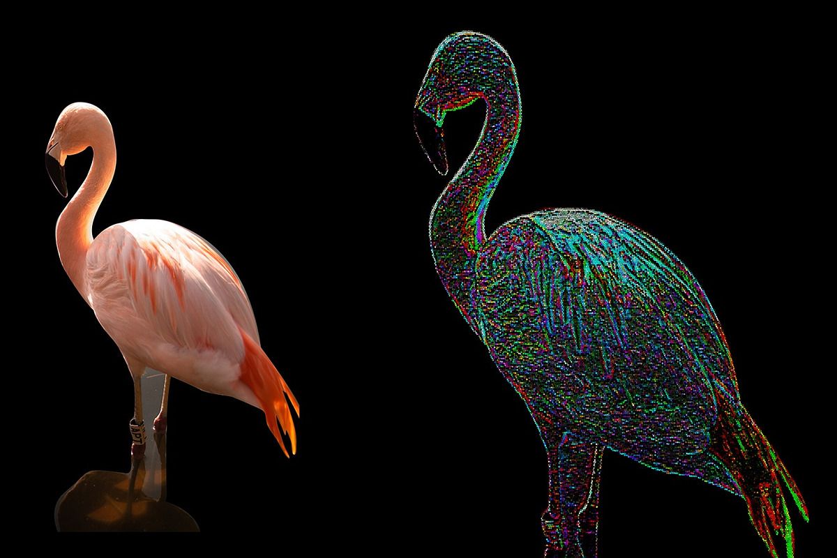 Colorful Pixel Art Action, an Action Add-On by MRI STUDIO (Photo 9 of 14)