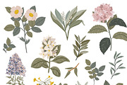 Seasonal Botany BUNDLE, an Object Graphic by Ruslana Lubenets (Thumbnail 42 of 100)