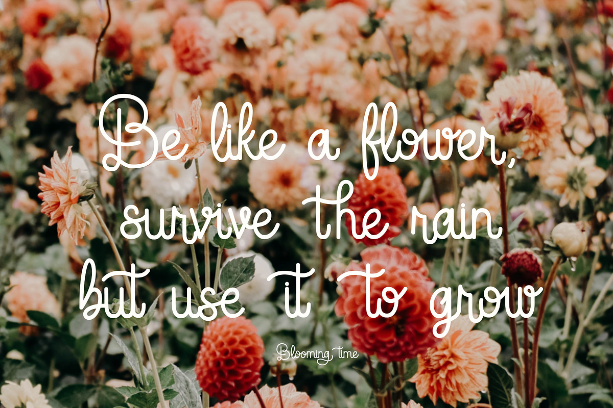 Blooming Time Font, a Script Font by Oui Studio (Photo 12 of 12)