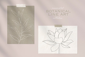 Botanical line art collection