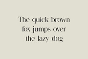 Birgine Modern Serif Font, a Serif Font by UICreative (Thumbnail 4 of 12)