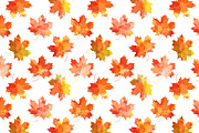 Set of autumn leaves+patterns., a Decorative Illustration by Della_Liner (Thumbnail 4 of 8)