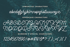 Yuletide Monoline Script