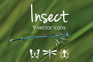 INSECTS - Vector Icons