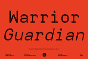 CS Alice Mono Disco, a Sans Serif Font by Craft Supply Co. (Thumbnail 2 of 8)