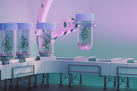 robotic plant capsule line