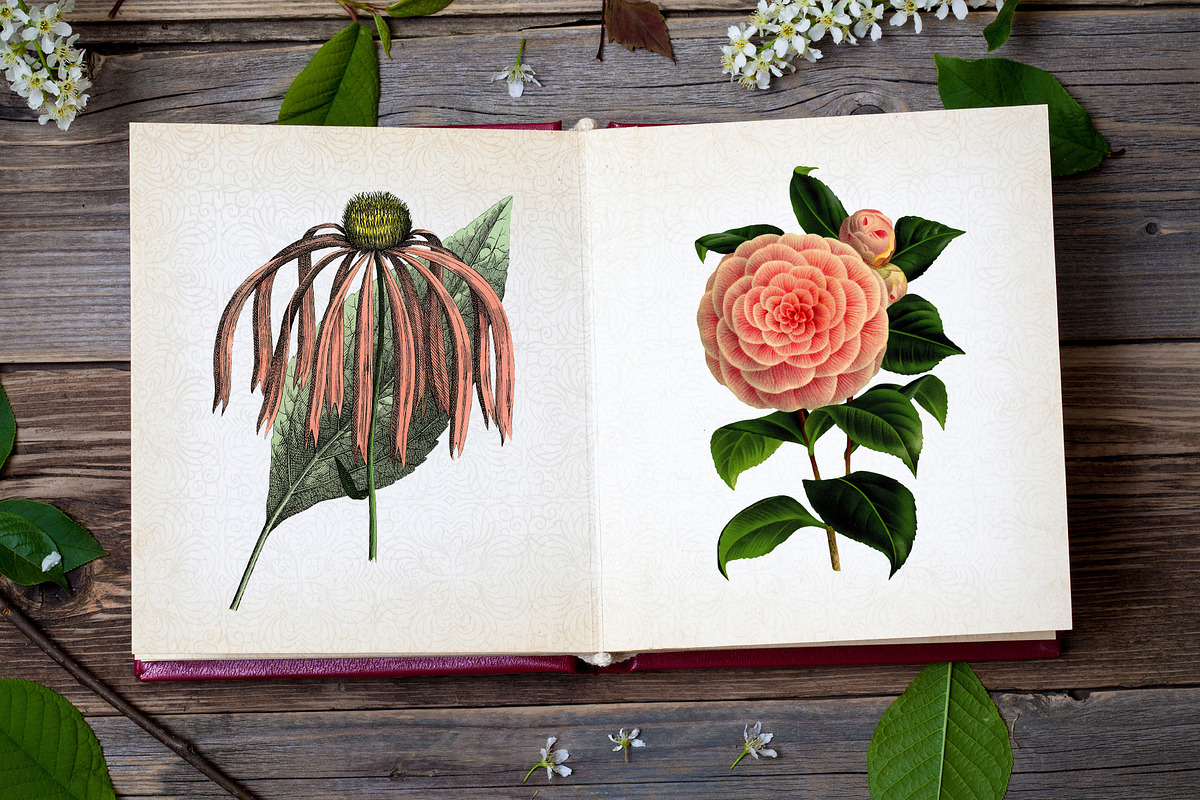 Vintage Pink Floral Boutique Clipart, a Seasonal Illustration by Patterns for Dessert (Photo 2 of 5)